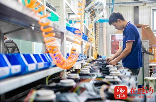 稳扎稳打有干头丨地产品制造增货源降成本 前店后厂 赋能临沂商城转型发展